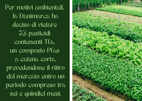 danimarca vieta tfa pesticidi.png